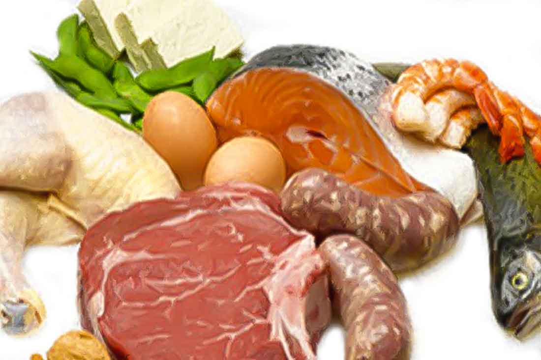 keto diet plan how much protein
