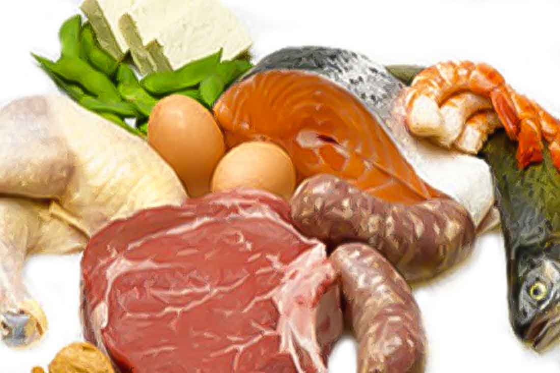 How Much Protein On Keto Diet