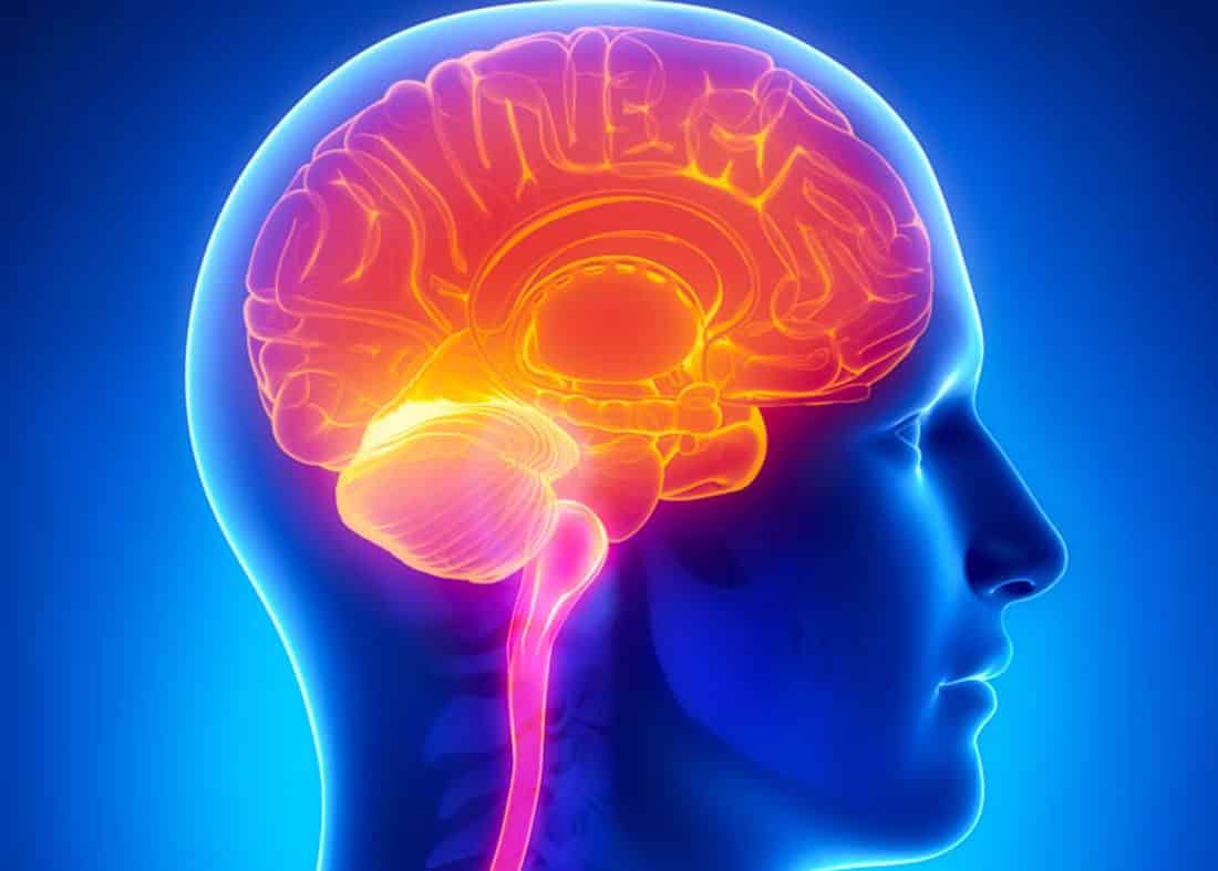 Alzheimers Disease Sugar Impact