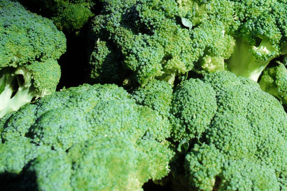 Broccoli is dietary fibre for ketogenic diets