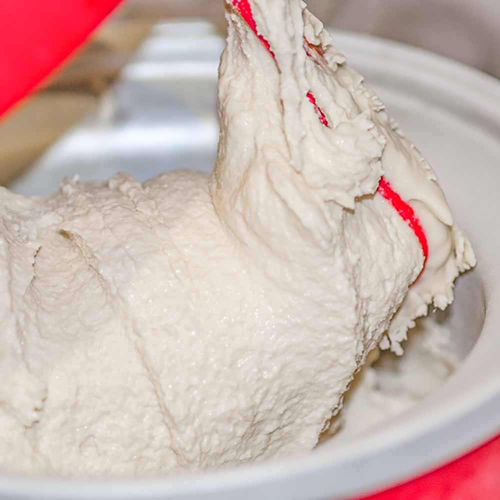 How to make Dairy Free Coconut Ice Cream