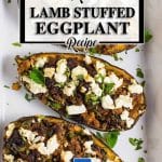 Delicious Lamb Stuffed Eggplant is our tribute to Middle Eastern Cuisine. So Tasty and Easy to Make.