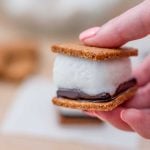 Sugar Free Smores - easy campfire recipe