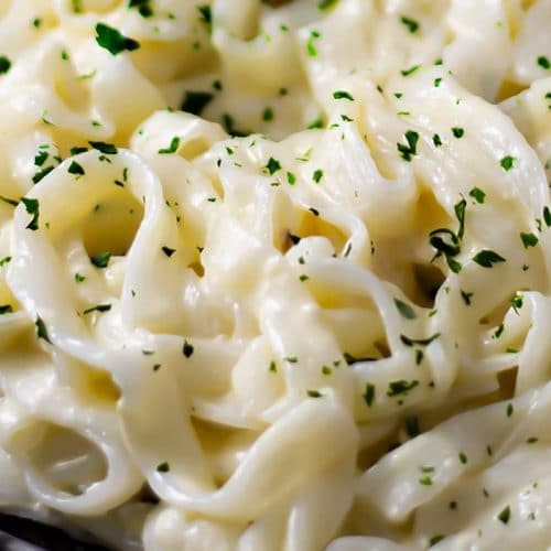 Keto Alfredo sauce recipe.