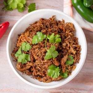 Keto Pork Carnitas in a bowl with cilantro