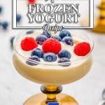 Easy keto frozen yogurt recipe.
