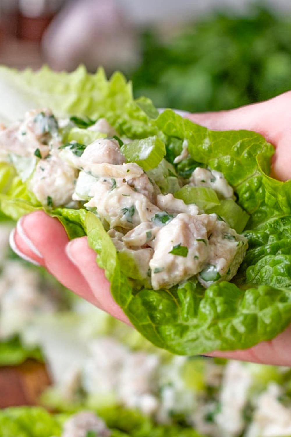 Easy Keto Chicken Salad Recipe (1g Carbs) Delicious